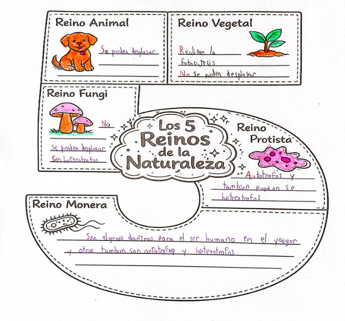 Figura 3