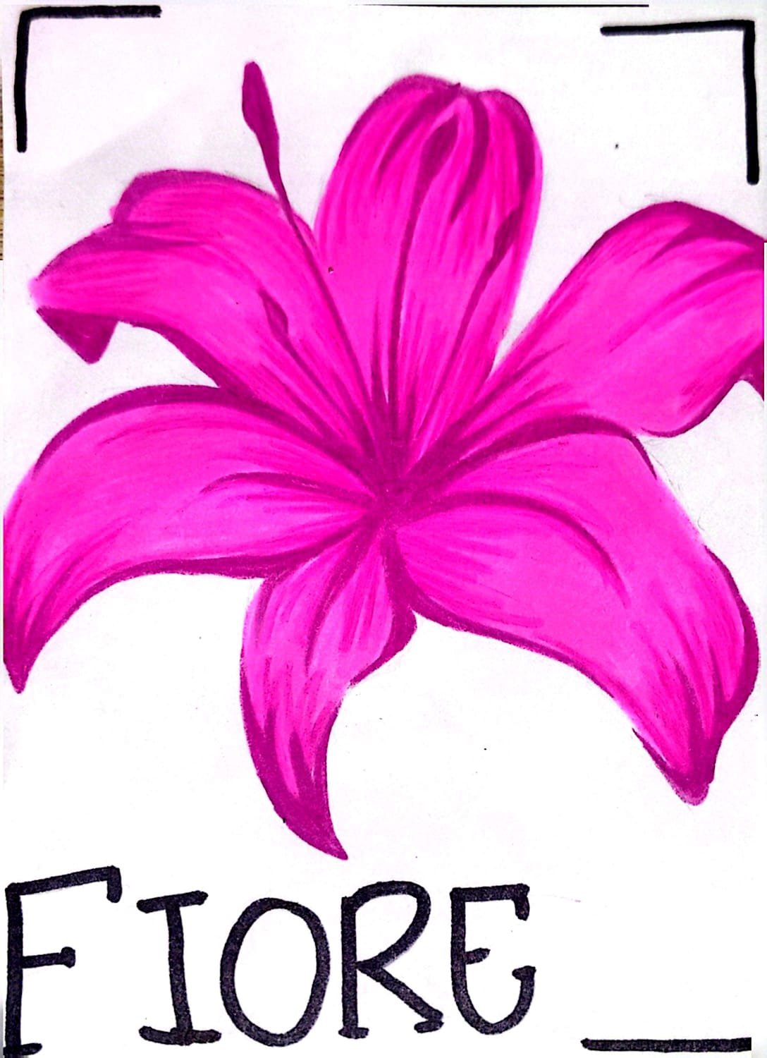 Caccia al disegno